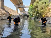 Jornada de búsqueda en Cerro del Chiquihuite y Río de los Remedios concluye sin hallazgos