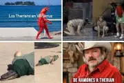 La moda Therian: la tendencia que desató una ola de memes en redes sociales