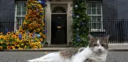 Larry, el gato de Downing Street, cumple 15 años como símbolo político británico