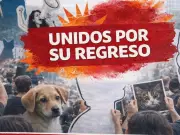 Marcha exige regreso inmediato de animales del Refugio Franciscano a CDMX
