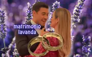 Matrimonio Lavanda: La Polémica Unión que Envuelve a Carlos Rivera y Cynthia Rodríguez