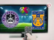 Mazatlán vs Tigres Femenil: Horario, Canal y Pronóstico del Clausura 2026