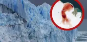 NASA capta desde el espacio el 'latido' del glaciar Stonebreen en el Ártico