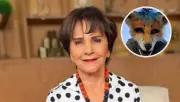 Pati Chapoy arremete contra los therian en 'Ventaneando' y genera polémica