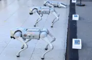 Perros Robot de Guadalupe Apoyarán Seguridad en Mundial de Fútbol 2026