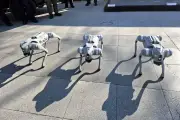 Perros robot de la Guardia Nacional vigilarán el Mundial de Fútbol 2026