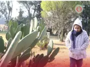 Pronóstico del tiempo: frío extremo y alerta amarilla en CDMX y Edomex este jueves