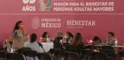 Registro para Pensiones Bienestar se extiende hasta el 22 de febrero: Ariadna Montiel