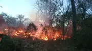 Sanciones y Cambio Climático Definirán la Temporada de Incendios Forestales 2026 en México