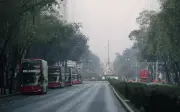Se activa Fase 1 de contingencia ambiental en CDMX: restricciones vehiculares para el 13 de febrero