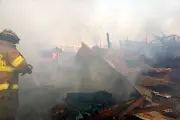 Se Reaviva Incendio en Granjas Porcinas de Nuevo León, Autoridades en Alerta