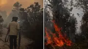 Sequía y calor agravan riesgo de incendios forestales; negligencia humana causa 95% de casos