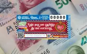 Sorteo Especial 309 de la Lotería Nacional: Premio Mayor de 27 Millones de Pesos
