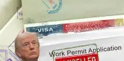 Trump propone suspender permisos de trabajo a solicitantes de asilo por décadas