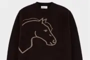 Un Suéter Iconico para el Año del Caballo: Tradición y Moda Mexicana