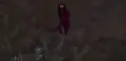Video de figura misteriosa en Tlajomulco reaviva leyendas de brujas mexicanas