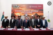 Yucatán será sede del Congreso Mundial Brahman 2026, un impulso al ganado