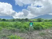 Zonas Arqueológicas: Refugios Clave para Murciélagos y Conservación en México