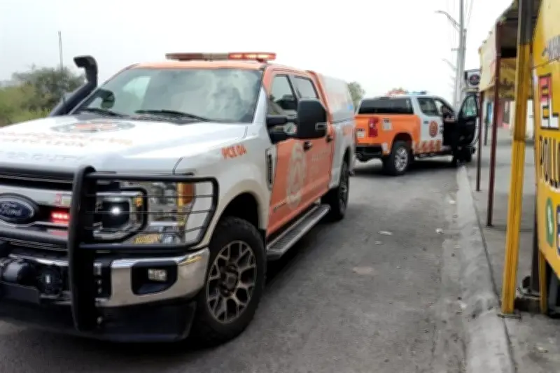 Abejas Atacan a Trabajadores y Familia en Guadalupe, Nuevo León