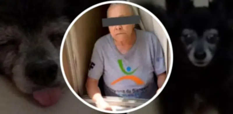 Abuela Mataperros de Coyoacán queda libre tras suspensión judicial y reparación de daño