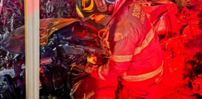 Accidente vial en Tlalpan derriba poste y árboles; bomberos rescatan a niña en Coyoacán