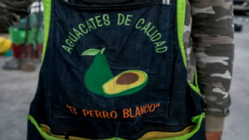 Actor de telenovelas abandona la fama para cultivar aguacates en Michoacán