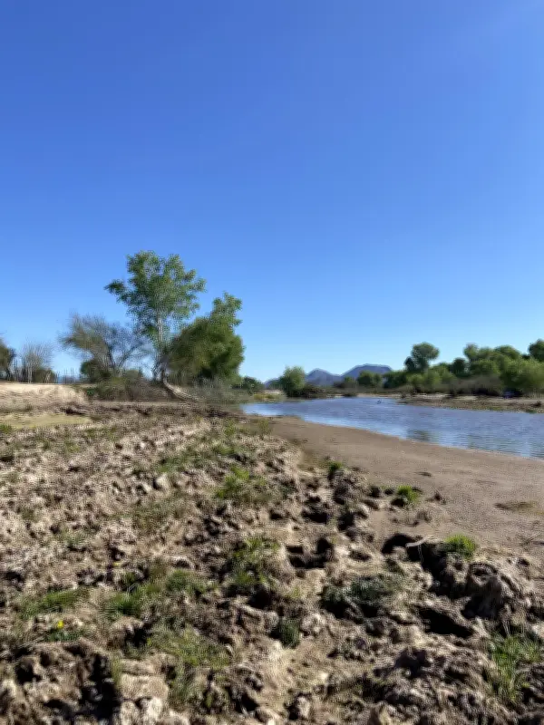 Afectados del Río Sonora denuncian exclusión en construcción del hospital de Ures