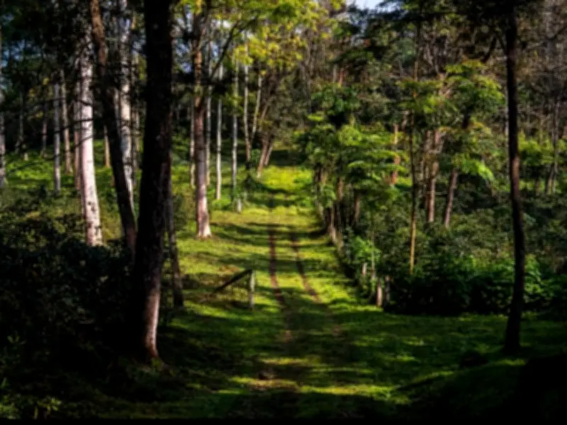 Agricultura impulsa suelos sanos para garantizar cosechas y bienestar rural en México