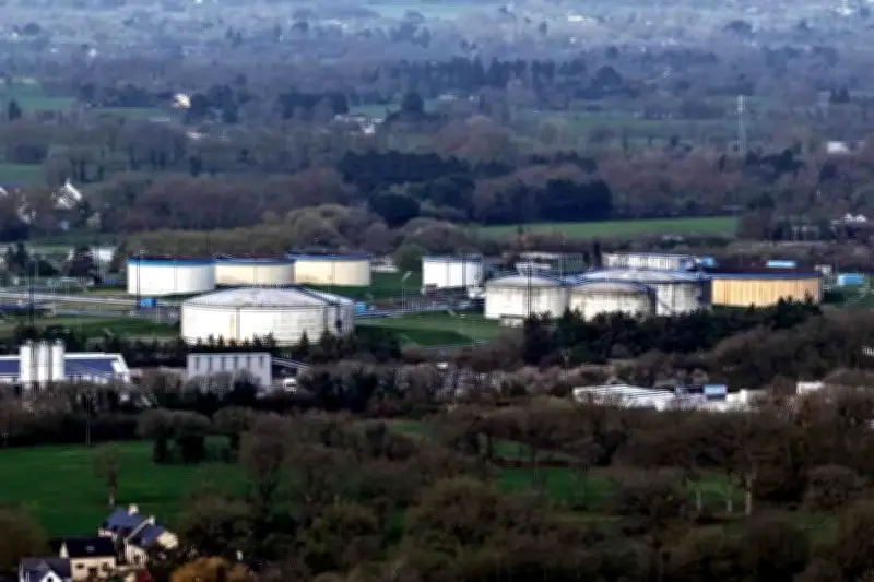 AIE recomendaría liberación récord de reservas petroleras para estabilizar precios