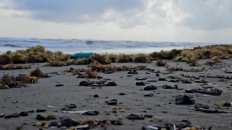 Al Jazeera expone impacto del derrame de petróleo en Golfo de México: pescadores y turismo en crisis