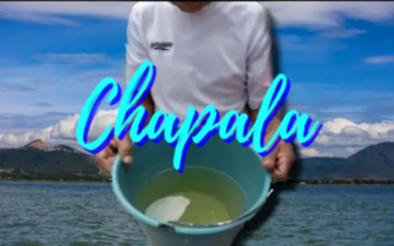 Alcaldes de Jalisco Confirman Descargas Contaminantes al Lago de Chapala