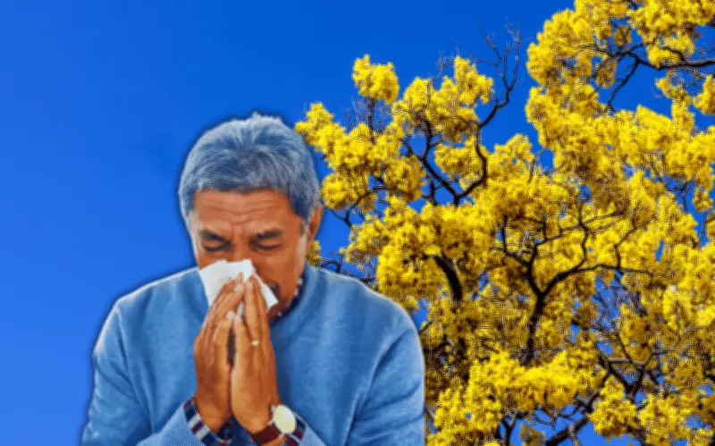 Alergias en Guadalajara: ¿Por qué son más severas y afectan a adultos mayores?