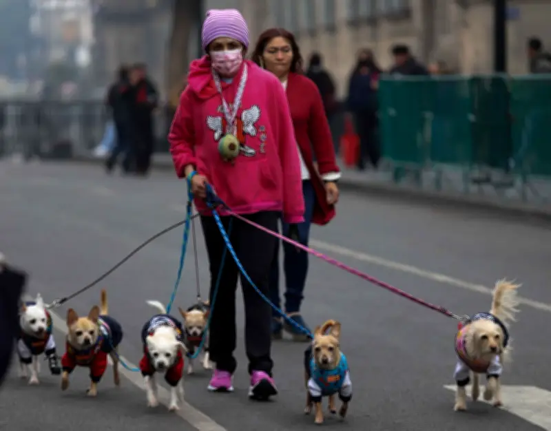 Alerta Amarilla por frío intenso en CDMX: tres alcaldías en riesgo este miércoles