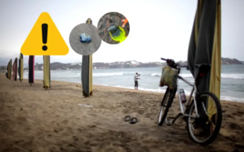 Alerta en playas de Colima por Fragata Portuguesa en Semana Santa