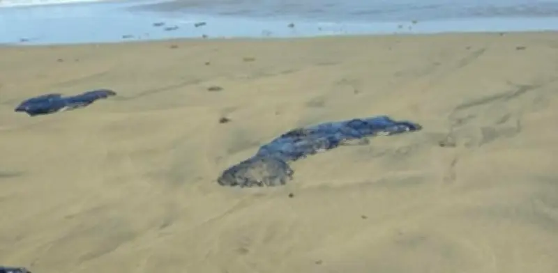 Alerta en Tamaulipas: Manchas de chapopote amenazan playa Miramar tras derrame en Veracruz