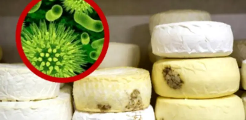 Alerta Máxima en EE.UU.: Retiran Queso Crema por Contaminación con Listeria Mortal