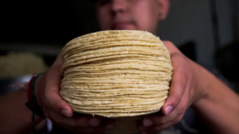 Alerta Nacional por Tortillas Pirata: Riesgos para la Salud y Cómo Identificarlas