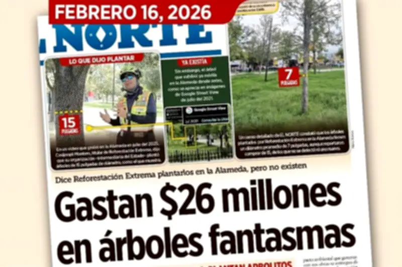 Aportaciones de Iniciativa Privada para Reforestación en México Caen Drásticamente