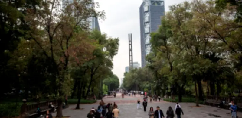 AQÜIFERA Festival del Bosque 2026 destacará el valor vital del agua en Chapultepec
