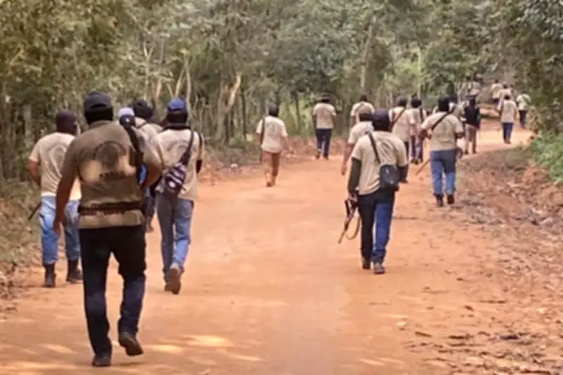 Ardillos Atacan Comunidades en Guerrero: Reportan Daños a Cultivos y Viviendas