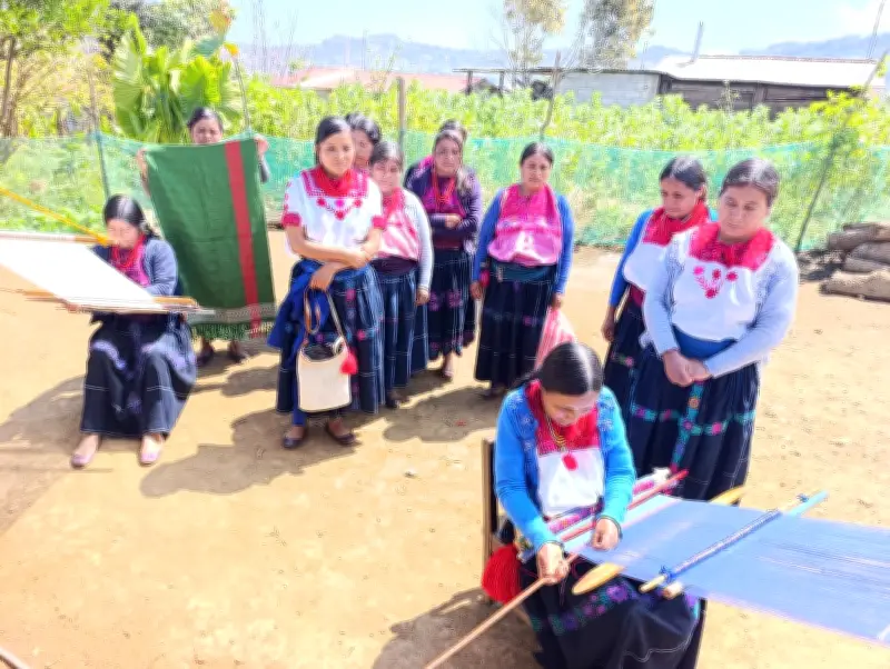 Artesanas Tsotsiles de Chiapas Exigen Pago de Más de 500 Mil Pesos a Promotor de Moda