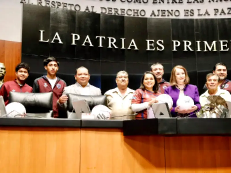 Artesanos de Chichihualco llevan balones cosidos a mano al Senado para buscar apoyo ante crisis