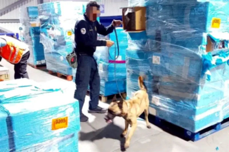 Aseguran 1.4 millones de cigarros pirata en el Aeropuerto de la Ciudad de México