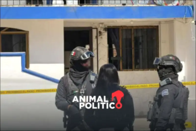 Asesinato de madre buscadora en Sinaloa desata condenas y alerta sobre violencia sistemática