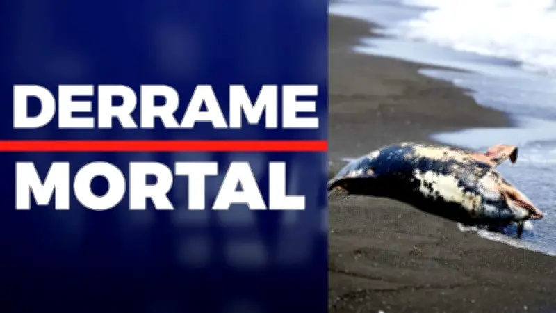 Autoridades niegan derrame en Golfo de México mientras mancha petrolera es visible desde satélites