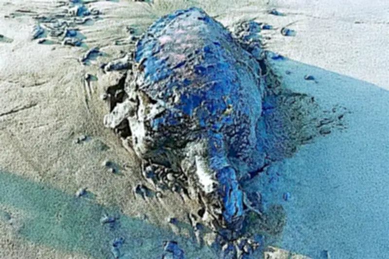 Avance en Retiro de Crudo, pero Indagatoria Sigue Estancada en Caso de Derrame