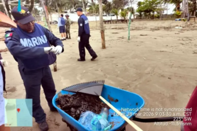 Avanza limpieza de hidrocarburo en playas del Golfo de México tras derrame
