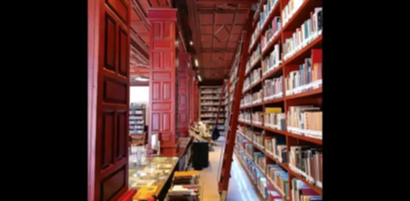 Biblioteca Pedro Bosch Gimpera: Un viaje histórico y antropológico en el corazón de la CDMX