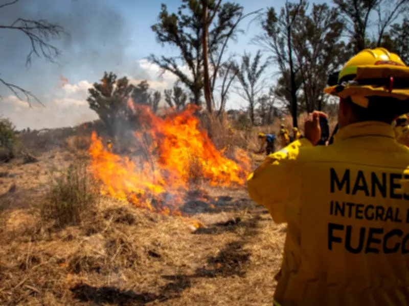 Bomberos de Guadalajara se capacitan para enfrentar incendios forestales en temporada de estiaje