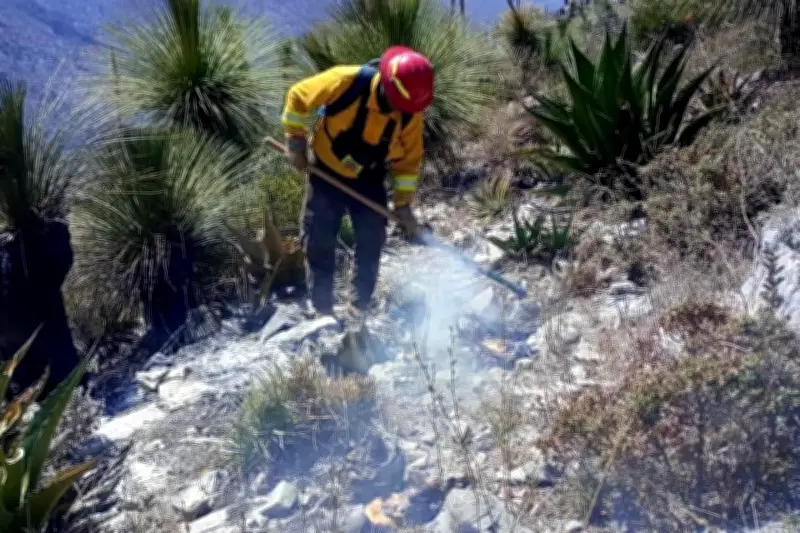 Bomberos y brigadistas combaten intenso incendio forestal en el Altiplano Tamaulipeco